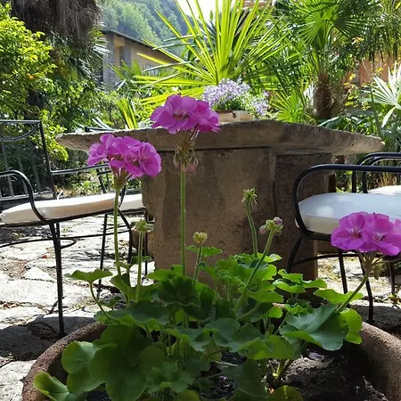 La Camelia Appartement Dervio